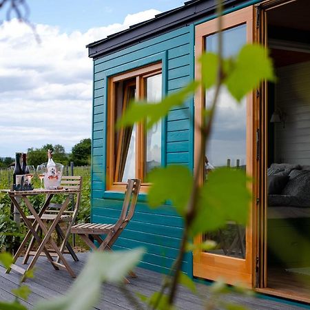 Hotel Tiny House In The Vineyard By Gramofon Wine Iordachianu Zewnętrze zdjęcie