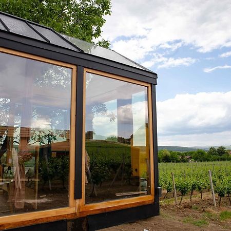 Hotel Tiny House In The Vineyard By Gramofon Wine Iordachianu Zewnętrze zdjęcie