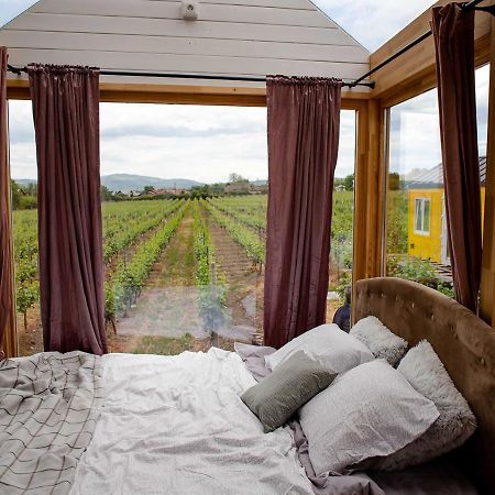 Hotel Tiny House In The Vineyard By Gramofon Wine Iordachianu Zewnętrze zdjęcie