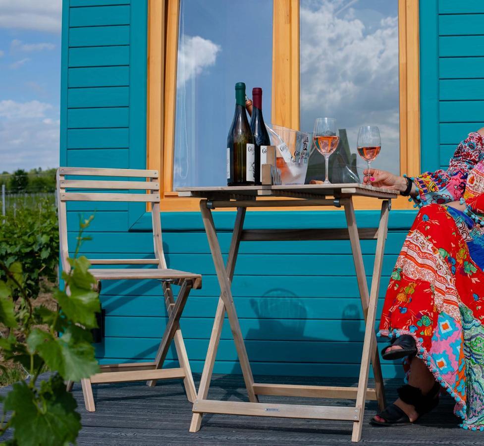Hotel Tiny House In The Vineyard By Gramofon Wine Iordachianu Zewnętrze zdjęcie