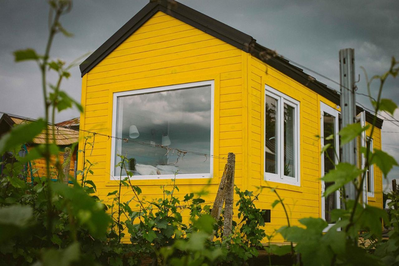 Hotel Tiny House In The Vineyard By Gramofon Wine Iordachianu Zewnętrze zdjęcie