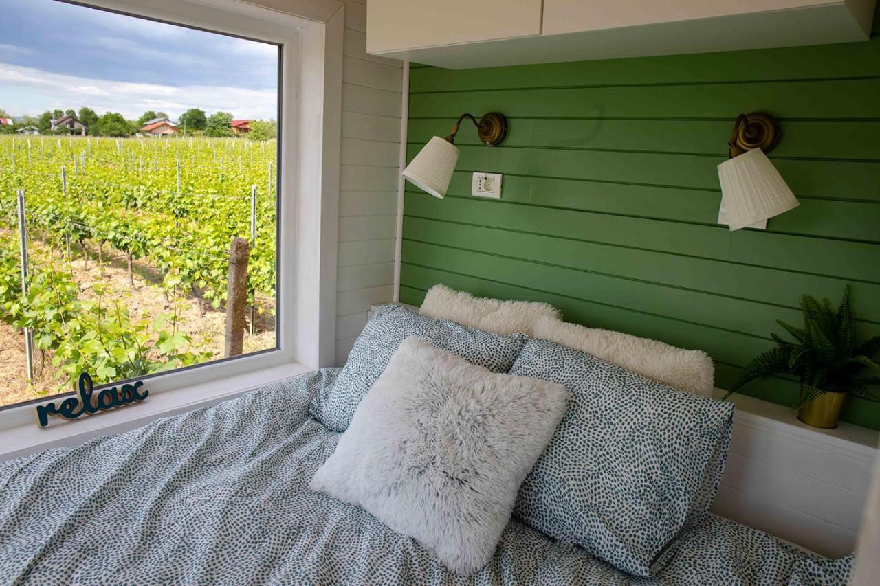 Hotel Tiny House In The Vineyard By Gramofon Wine Iordachianu Zewnętrze zdjęcie