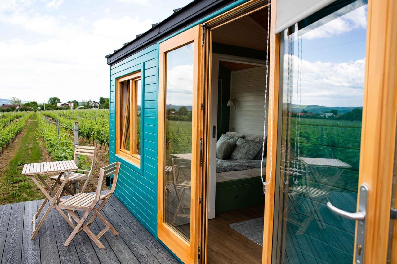 Hotel Tiny House In The Vineyard By Gramofon Wine Iordachianu Zewnętrze zdjęcie