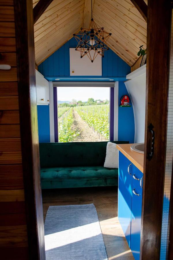 Hotel Tiny House In The Vineyard By Gramofon Wine Iordachianu Zewnętrze zdjęcie
