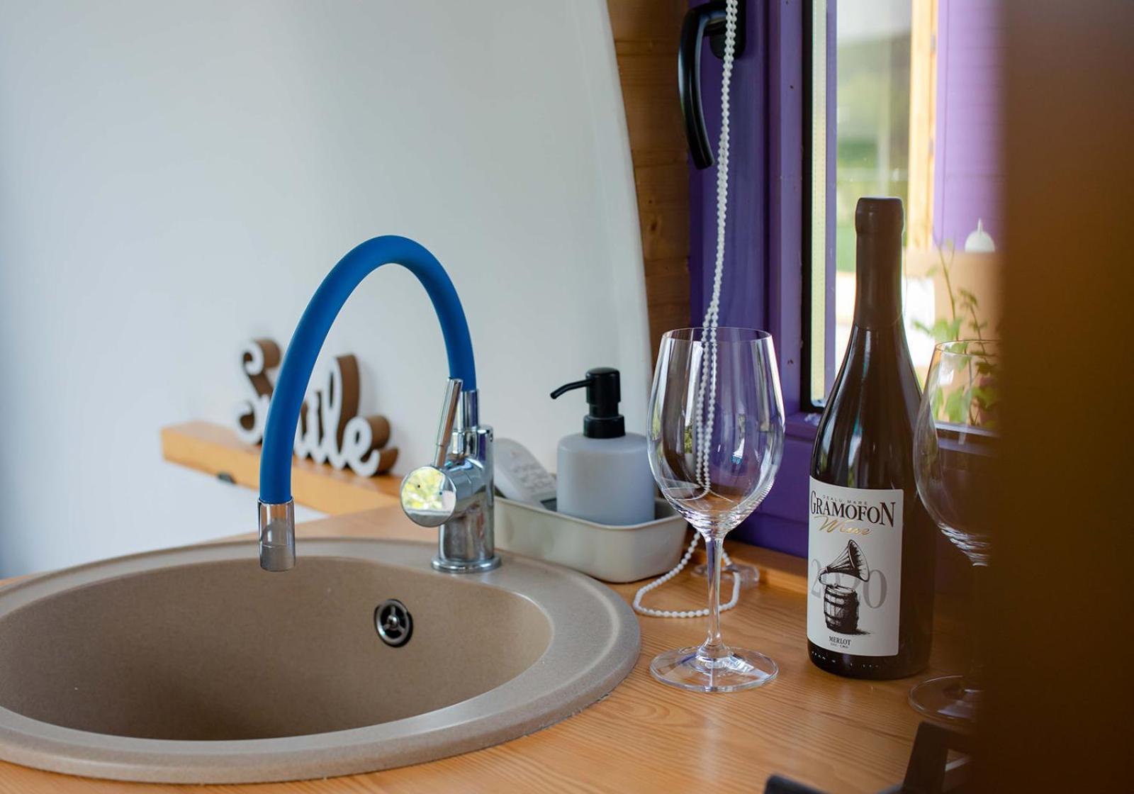 Hotel Tiny House In The Vineyard By Gramofon Wine Iordachianu Pokój zdjęcie