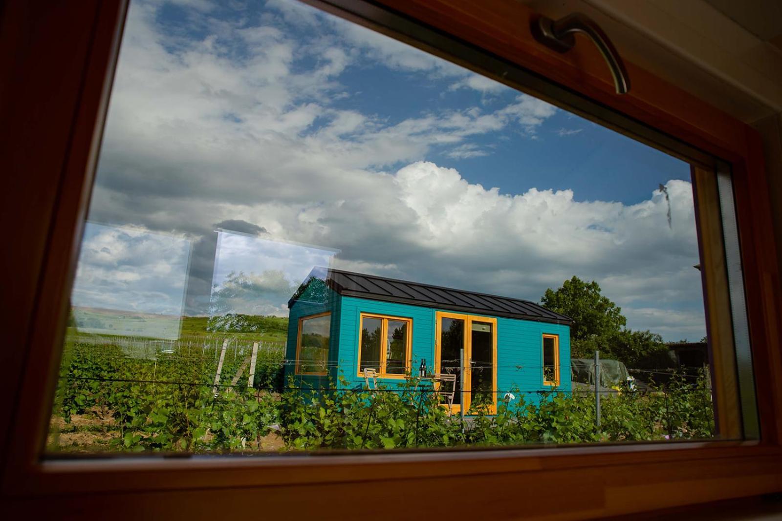 Hotel Tiny House In The Vineyard By Gramofon Wine Iordachianu Pokój zdjęcie