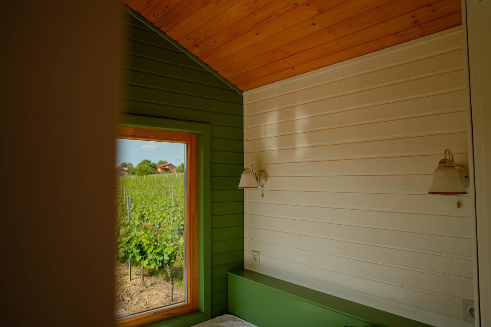 Hotel Tiny House In The Vineyard By Gramofon Wine Iordachianu Pokój zdjęcie