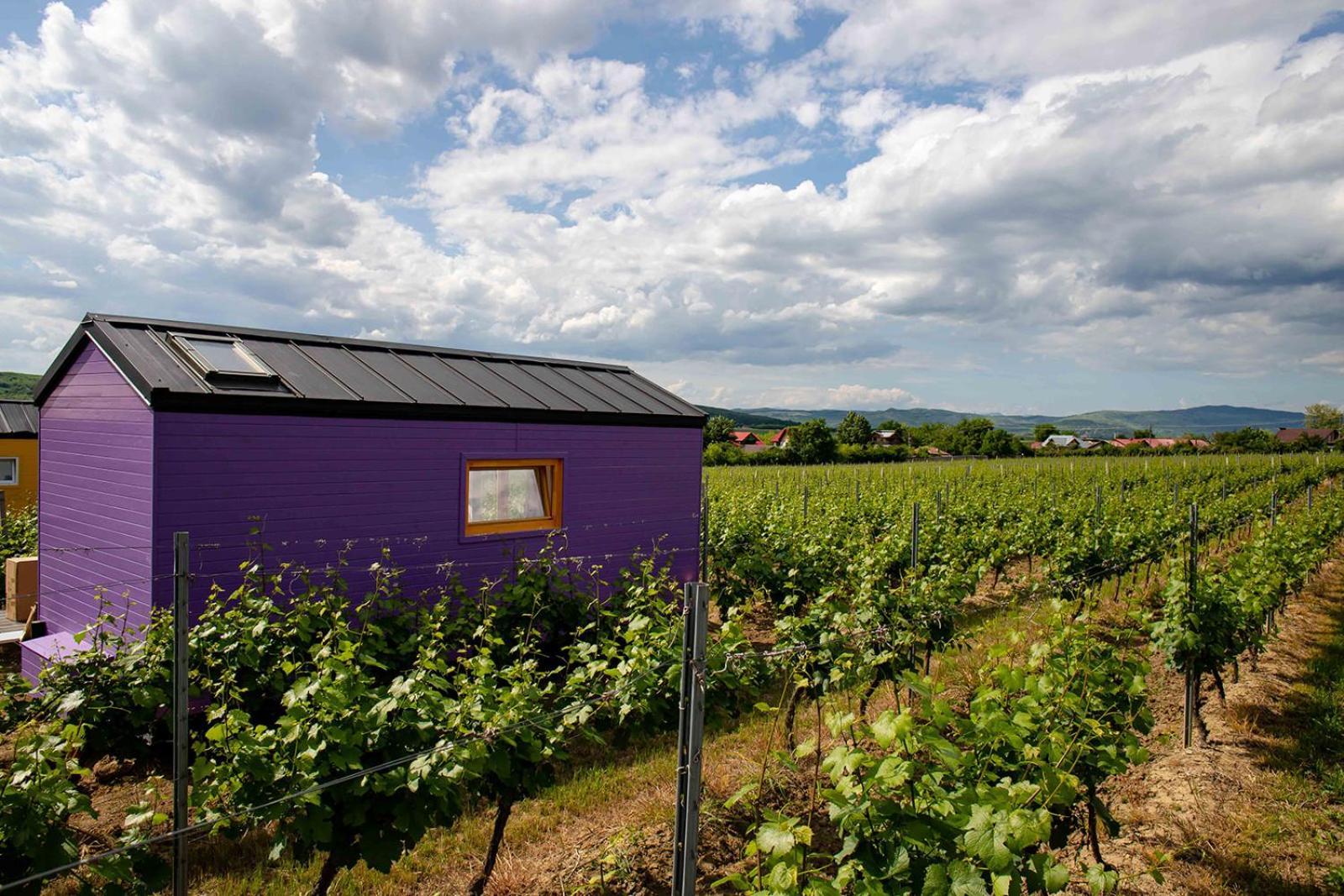 Hotel Tiny House In The Vineyard By Gramofon Wine Iordachianu Pokój zdjęcie